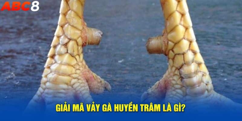 Thông tin chung về vảy gà Huyền Trâm